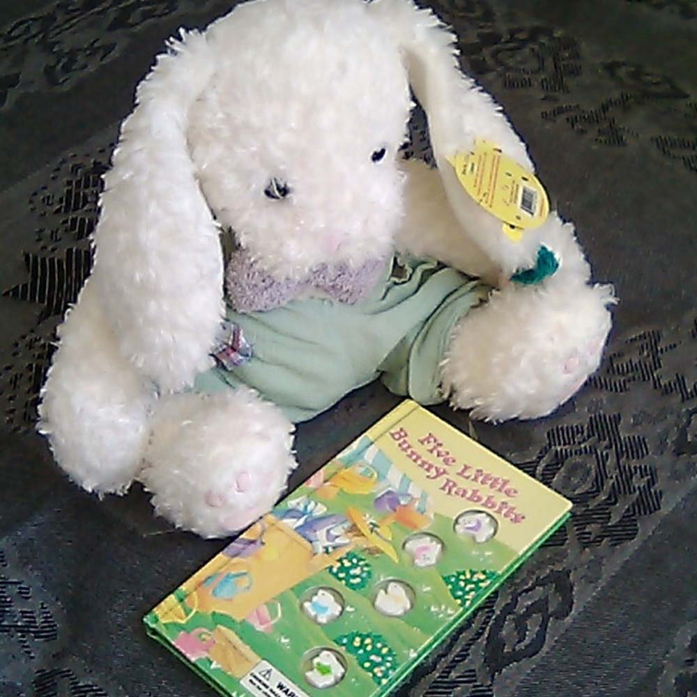 Easter Bunny stuffed animal & book